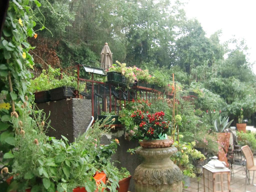 Mignon Hotel Triest